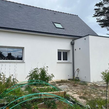 Maison Tamaris Avec Jardin Et Clos Quiberon Bagian luar foto